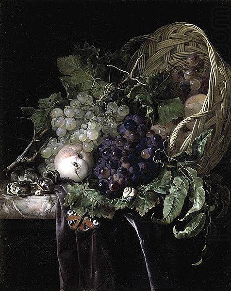 Aelst, Willem van Fruit Still-Life china oil painting image